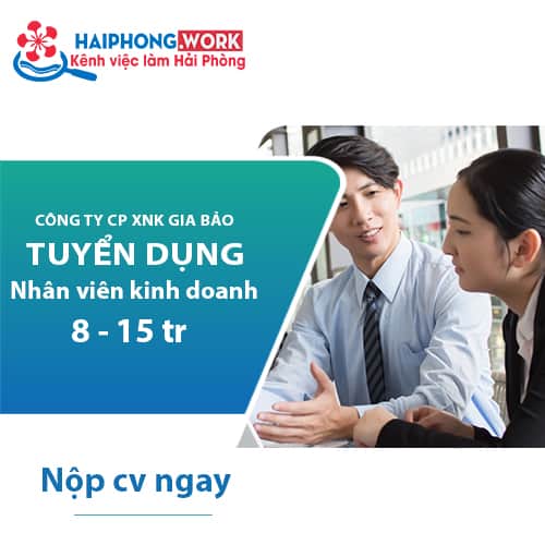 image cong ty cp xnk gia bao chi nhanh hai phong tuyen nhan vien kinh doanh 9 270622 014852