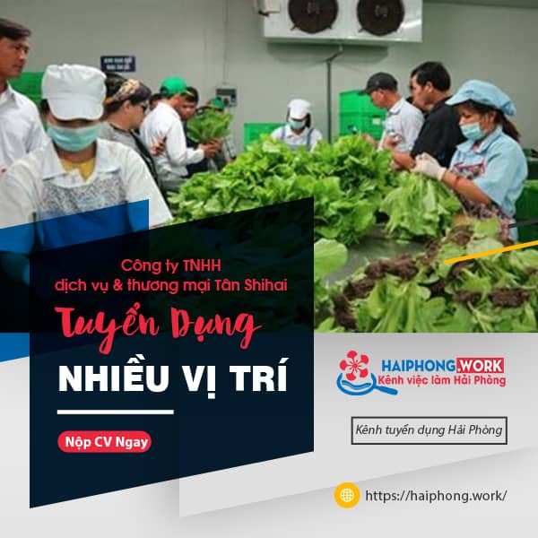 image cong ty tnhh dich vu thuong mai tan shihai tuyen nhieu vi tri 7 280622 035339