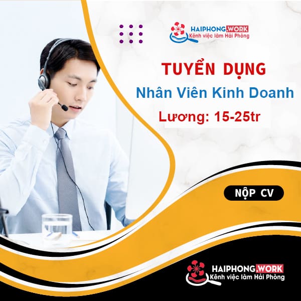 image fpt telocom tim kiem vi tri kinh doanh khach hang doanh nghiep tai hai phong voi quyen loi sieu xin 6 150622 023545