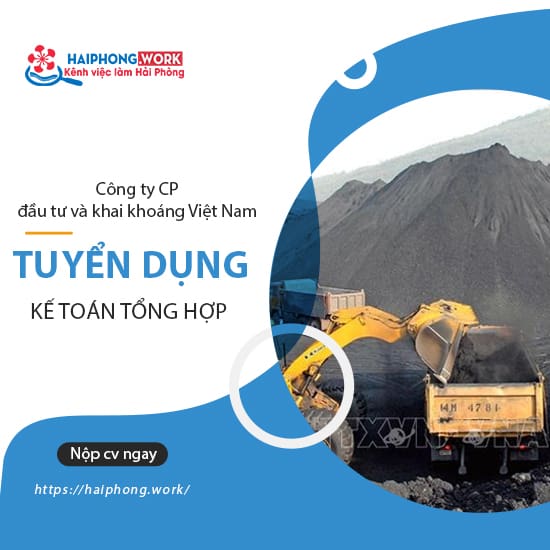 image cong ty cp dau tu va khai khoang viet nam tuyen ke toan tong hop 6 300722 101503