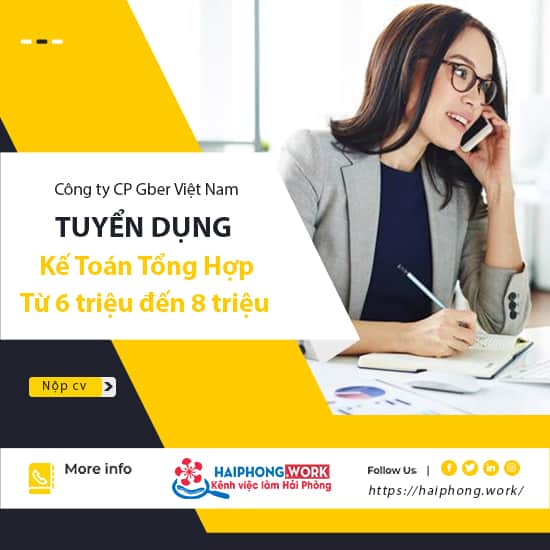 image cong ty cp gber viet nam chi nhanh tai hai phong tuyen dung ke toan tong hop 4 190722 100541