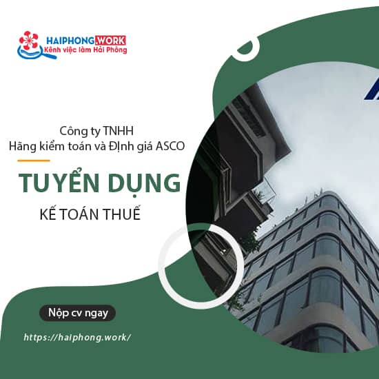 image cong ty tnhh hang kiem toan va dinh gia asco cn hai phong can tuyen 02 ke toan thue 1 230722 030608