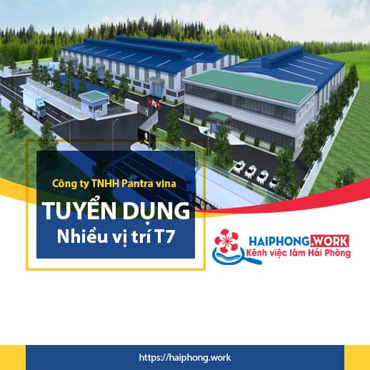 image cong ty tnhh pantra vina tuyen dung cac vi tri moi thang 7 7 150722 031036
