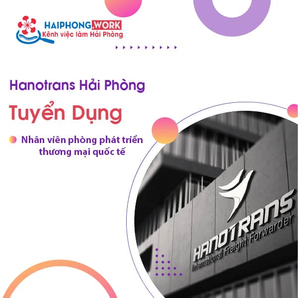 image hanotrans hai phong tuyen dung nhan vien phong phat trien thuong mai quoc te 4 220722 075925