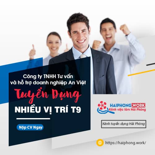 image cong ty tnhh tu van va ho tro doanh nghiep an viet tuyen dung nhan vien ke toan tro ly van phong tro ly kinh doanh 7 100922 014438