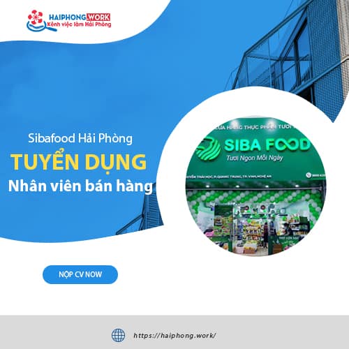 image nhan vien ban hang quay thit sach lam viec tai sibafood hai phong 8 090922 073638