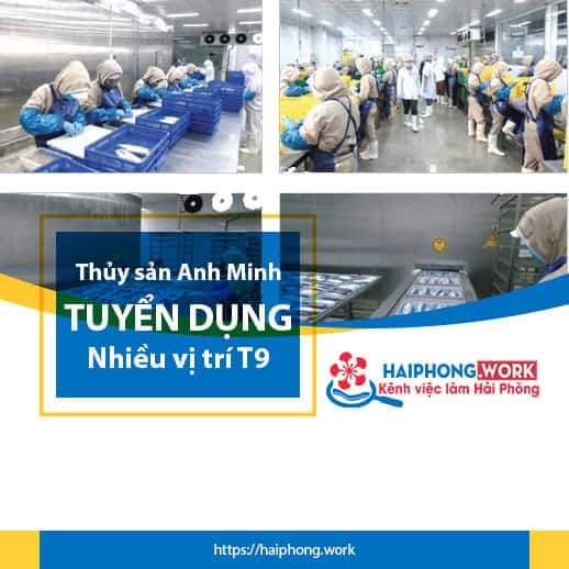 image thuy san anh minh tuyen dung nhan su thang 9 6 070922 024825