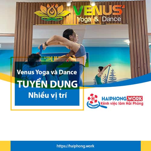 image venus yoga va dance tuyen dung nhan vien sale tu van ban hang nhan vien tap vu 6 240922 025959