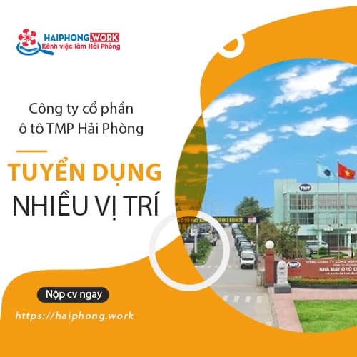 image cong ty co phan o to tmp hai phong tuyen dung tu van ban hang ky thuat vien 7 191022 041116