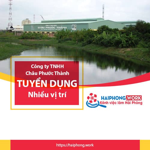 image cong ty tnhh chau phuoc thanh tuyen dung nhieu vi tri hop dong dai han 1 031022 085505
