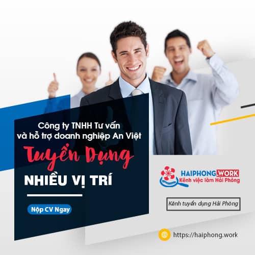image cong ty tnhh tu van va ho tro doanh nghiep an viet tuyen dung tro ly 1 041022 094838
