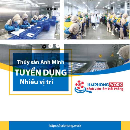 image thuy san anh minh tuyen dung nhan su thang 9 8 171022 013015