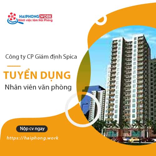 image cong ty cp giam dinh spica tuyen dung nhan vien van phong 1 161122 071843