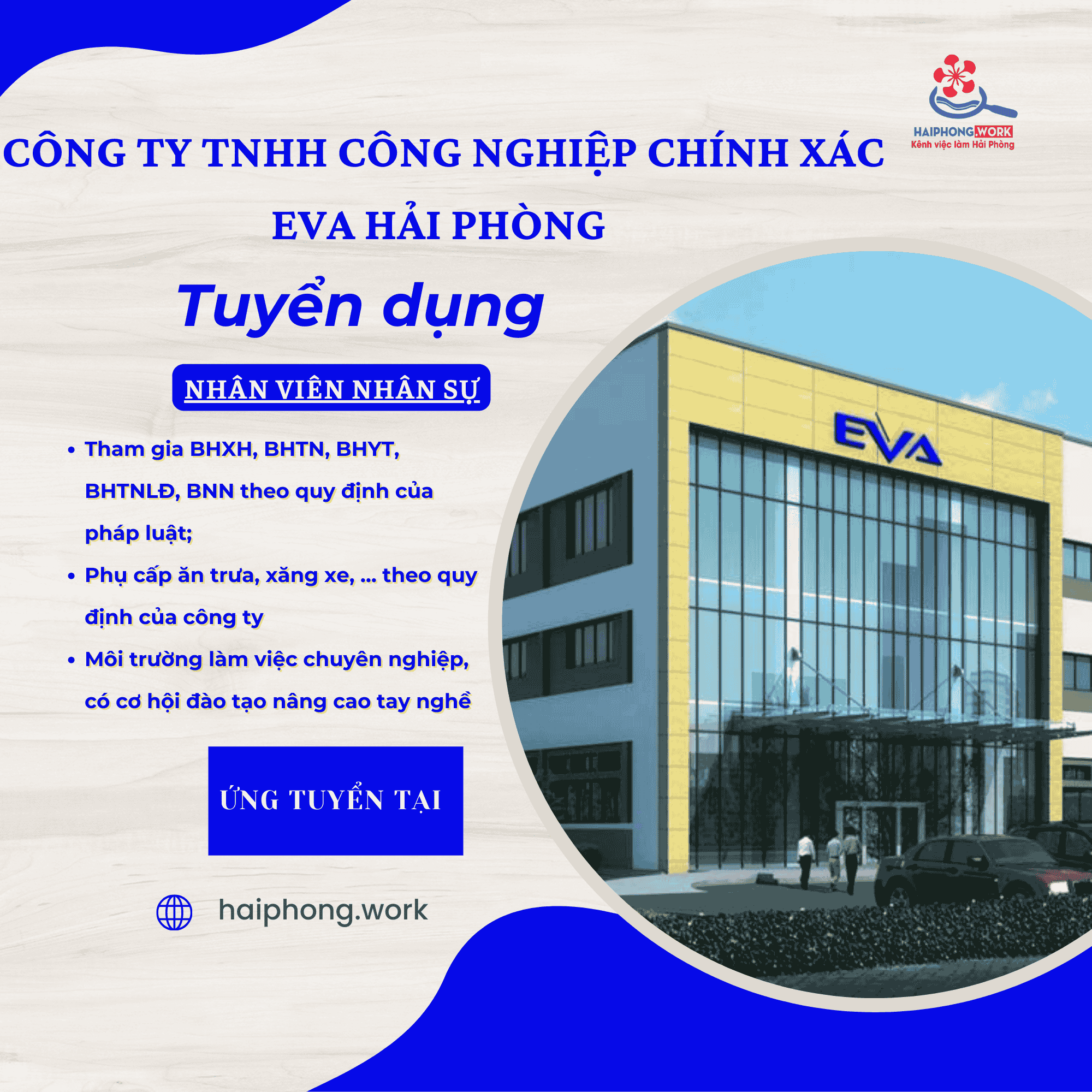 image cong ty tnhh cong nghiep chinh xac eva hai phong tuyen nhan vien he thong sap 5 100226 042941