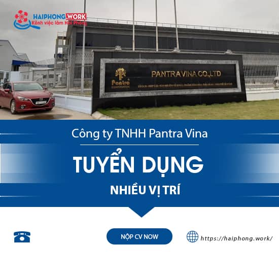 image cong ty tnhh pantra vina tuyen dung nhan vien logistic 7 161122 075632