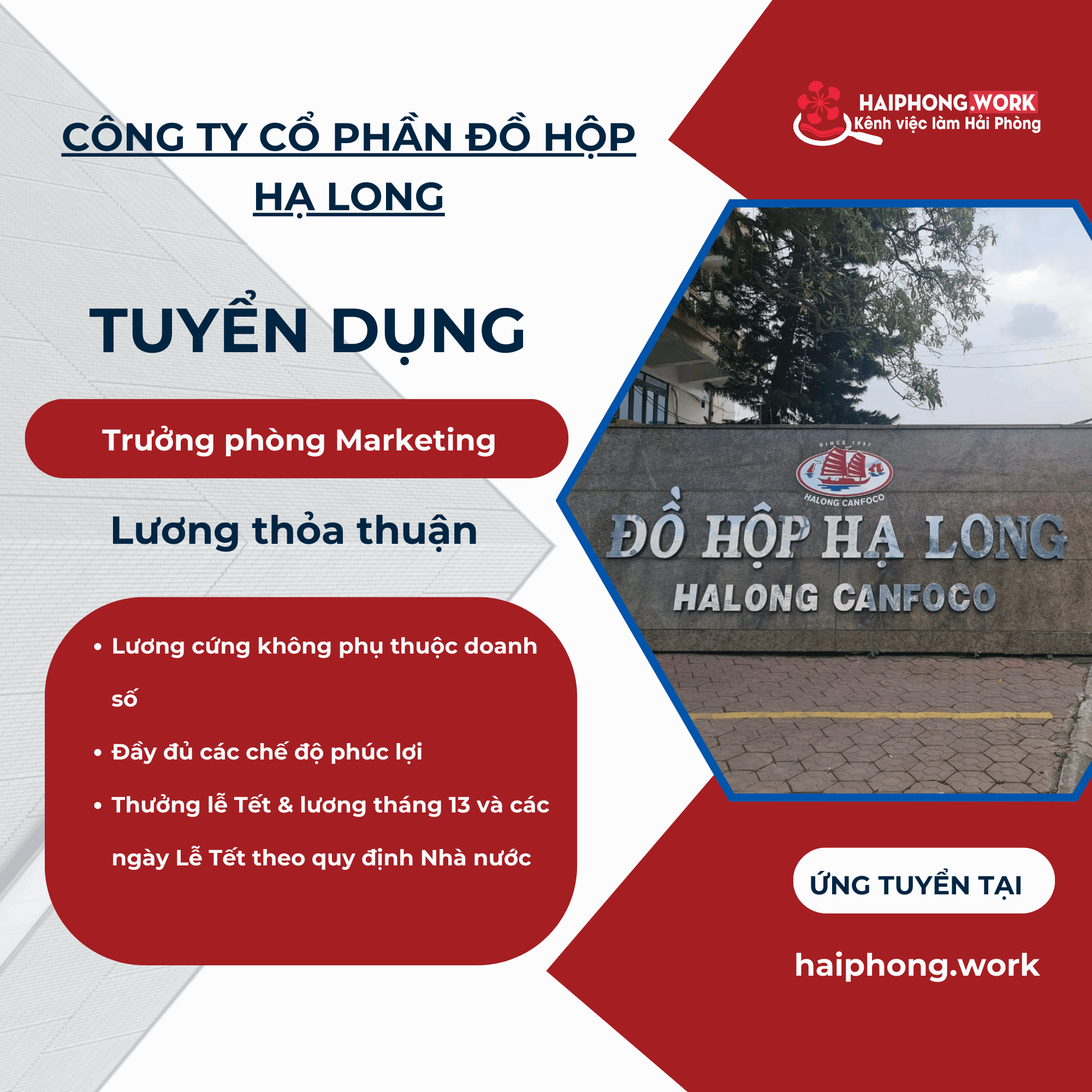 image cong ty co phan do hop ha long thong bao tuyen vi tri ke toan thue 8 150525 091048