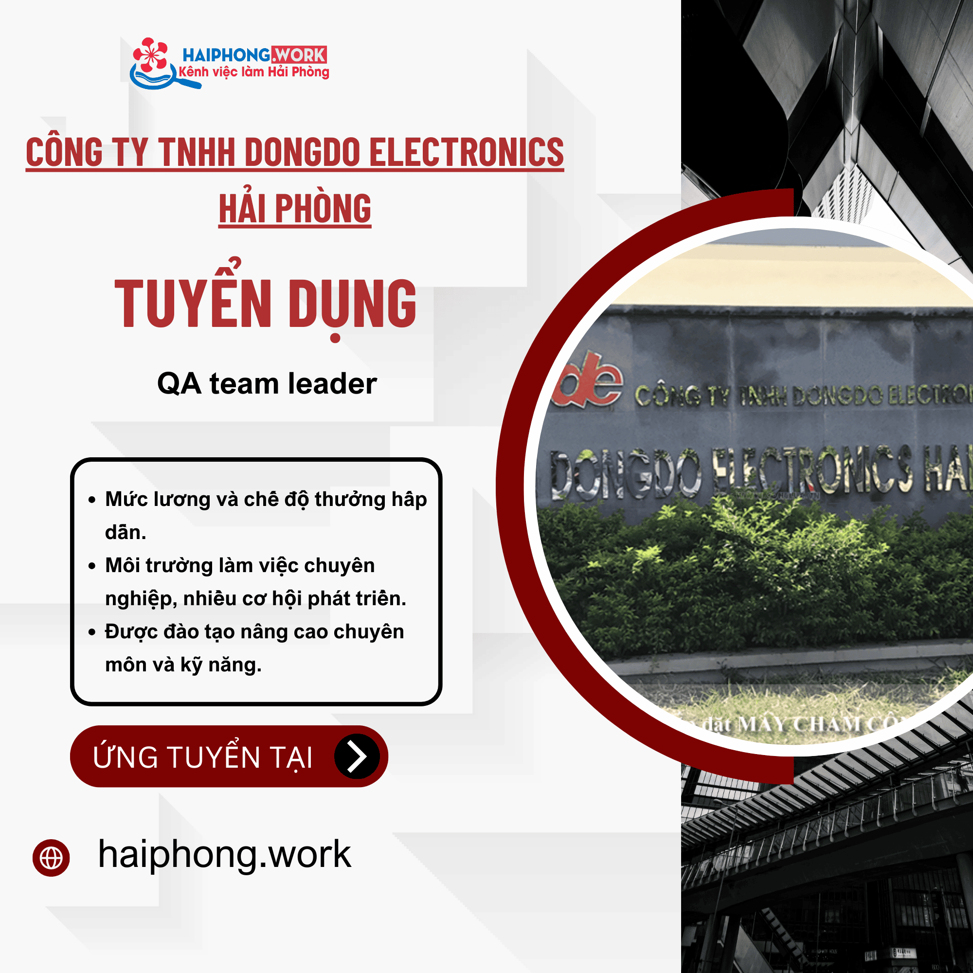 image cong ty tnhh dongdo electronics hai phong tuyen dung nhan vien phien dich tieng trung 3 040925 015825