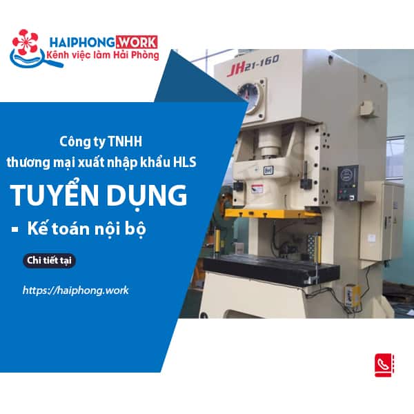 image cong ty tnhh thuong mai xuat nhap khau hls tuyen ke toan noi bo 2 121222 065504