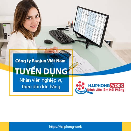 image cong ty baojun viet nam tuyen dung 01 nhan vien nghiep vu theo doi don hang 5 170223 024316
