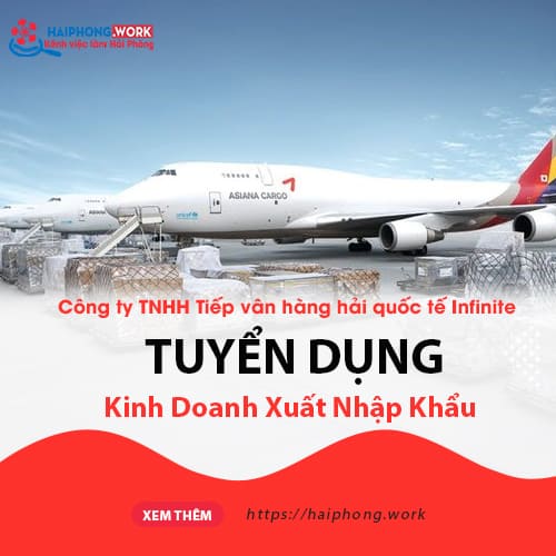 image cong ty tnhh tiep van hang hai quoc te infinite tuyen dung vi tri kinh doanh xuat nhap khau 5 140223 034620