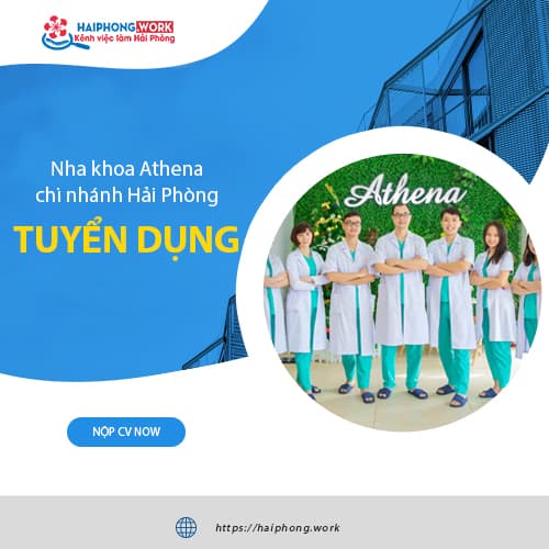 image nha khoa athena chi nhanh hai phong tuyen dung 01 le tan nhan vien cham soc khach hang 2 230223 081927