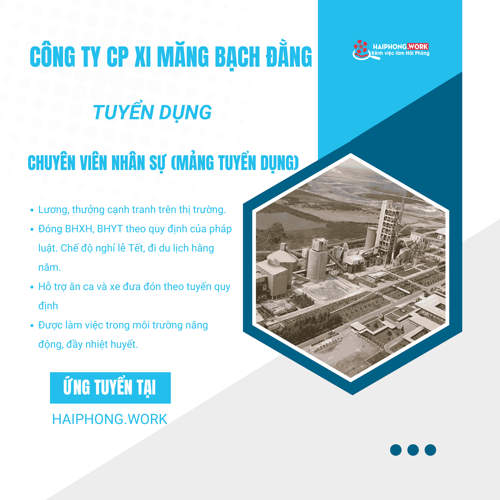 image xi mang bach dang tuyen dung phien dich tieng trung luong 15 20 trieu 7 270226 072827