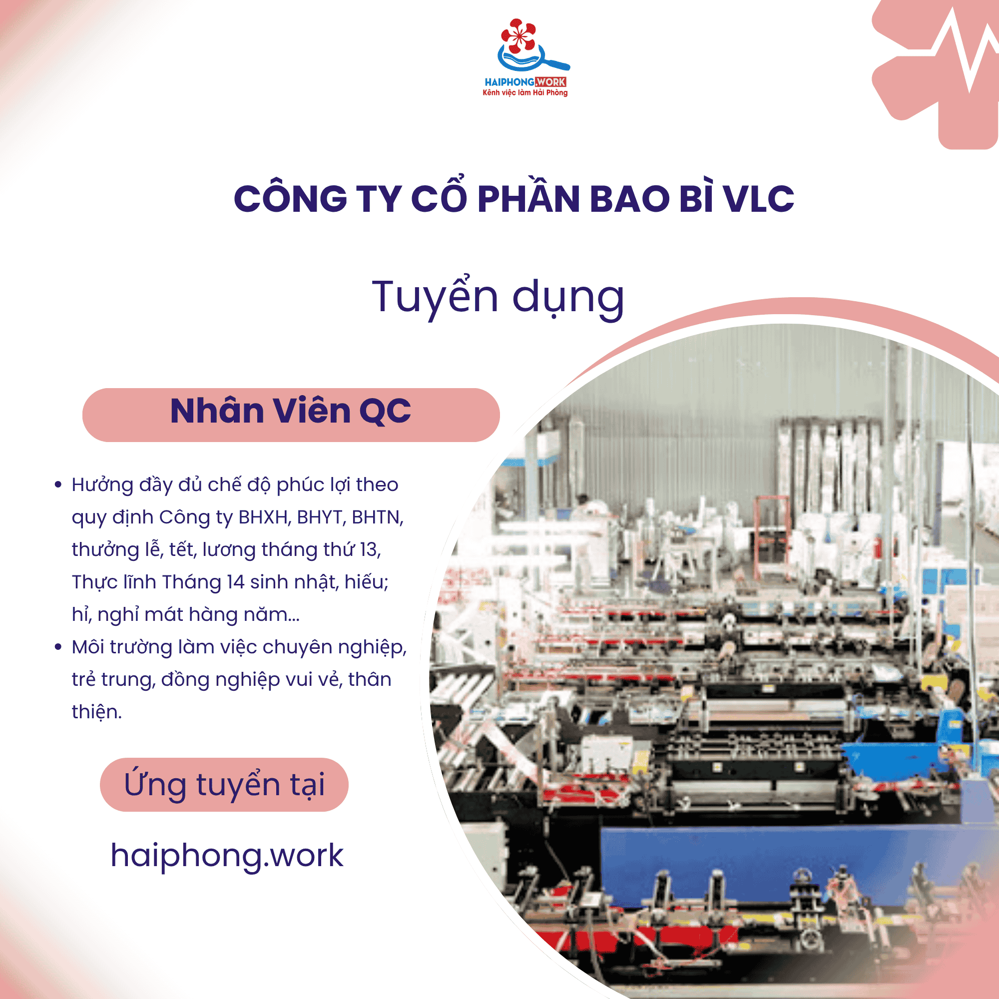 image nhan vien ke toan 6 220426 075135