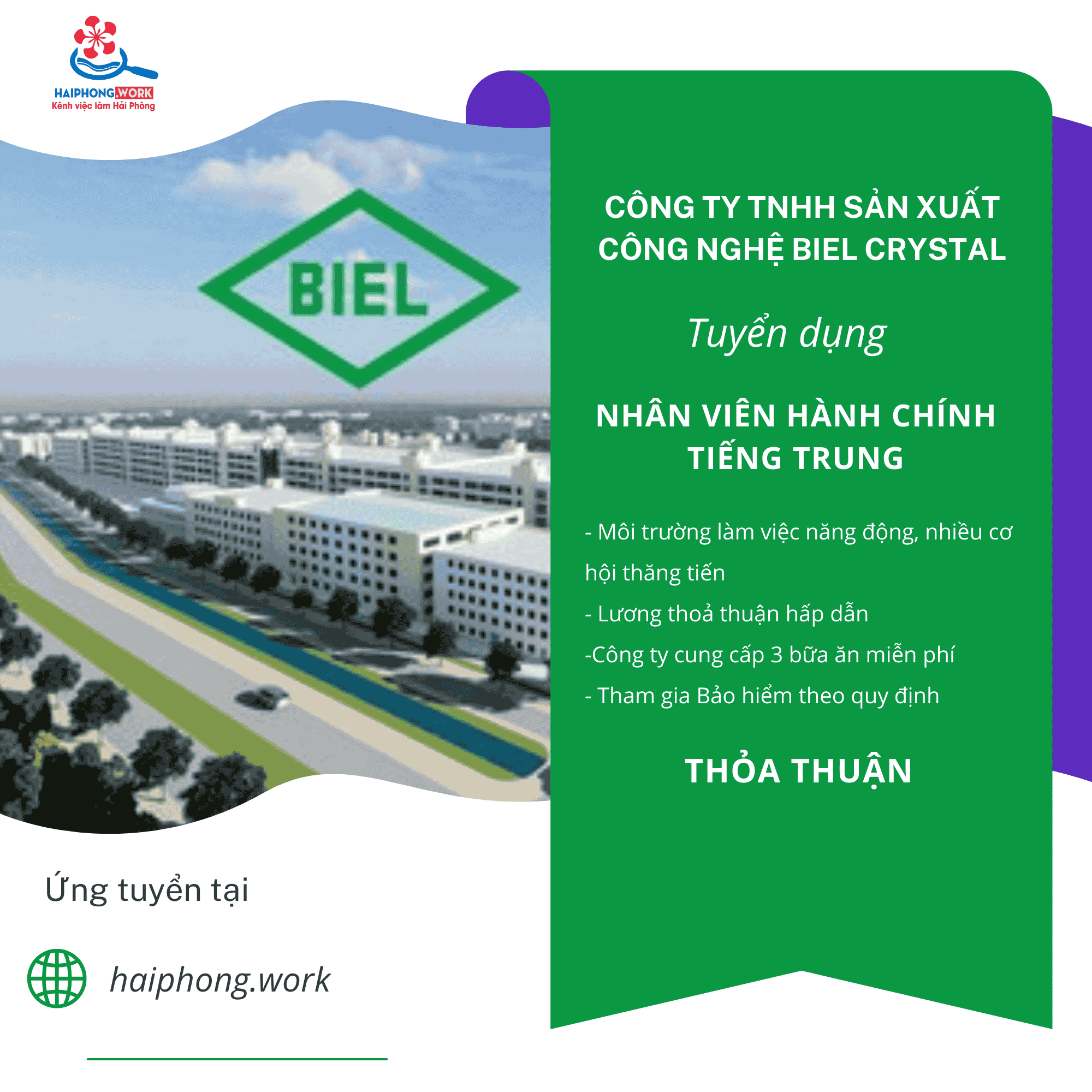 image truong phong thu mua 4 290126 031910