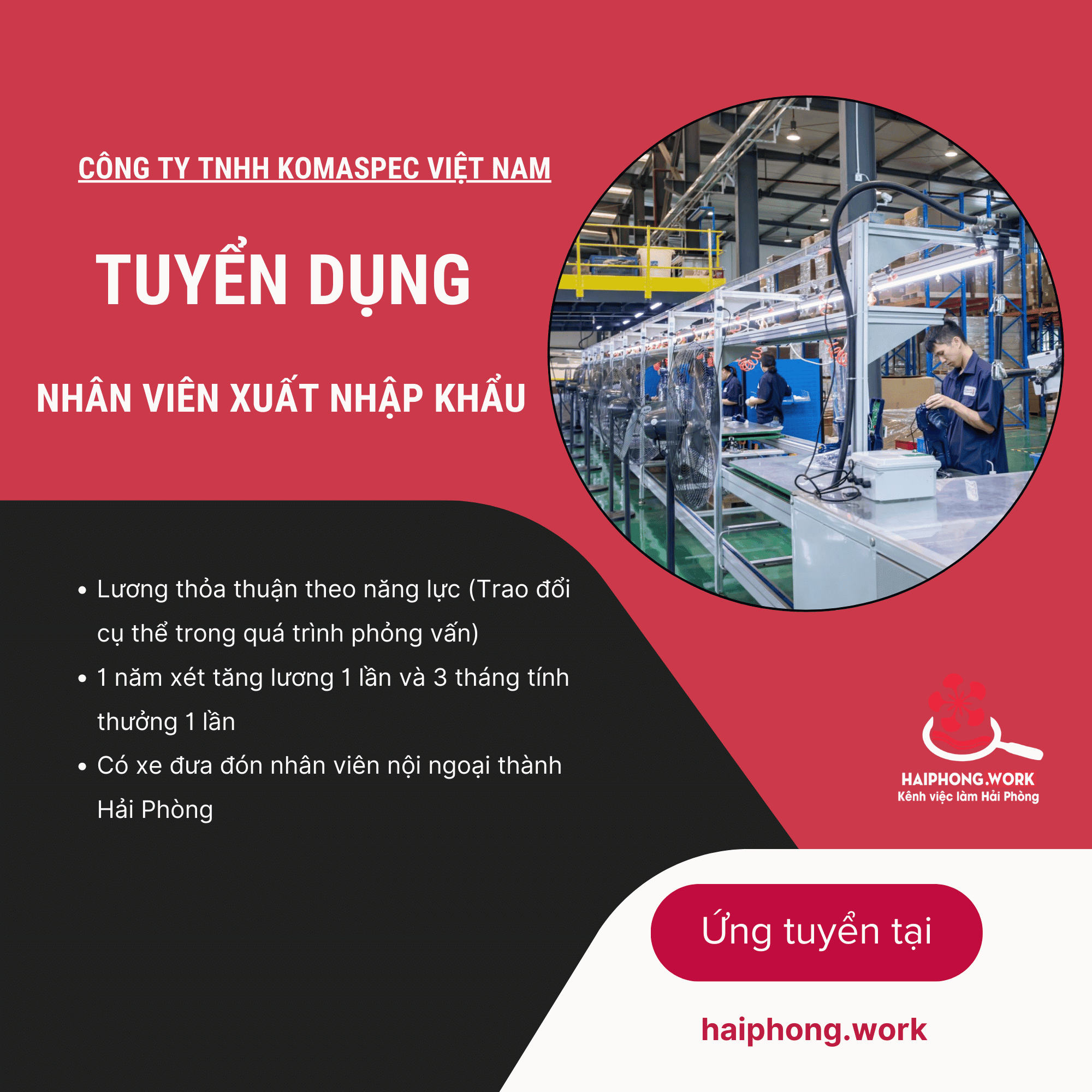 image nhan vien xuat nhap khau 6 110925 022200