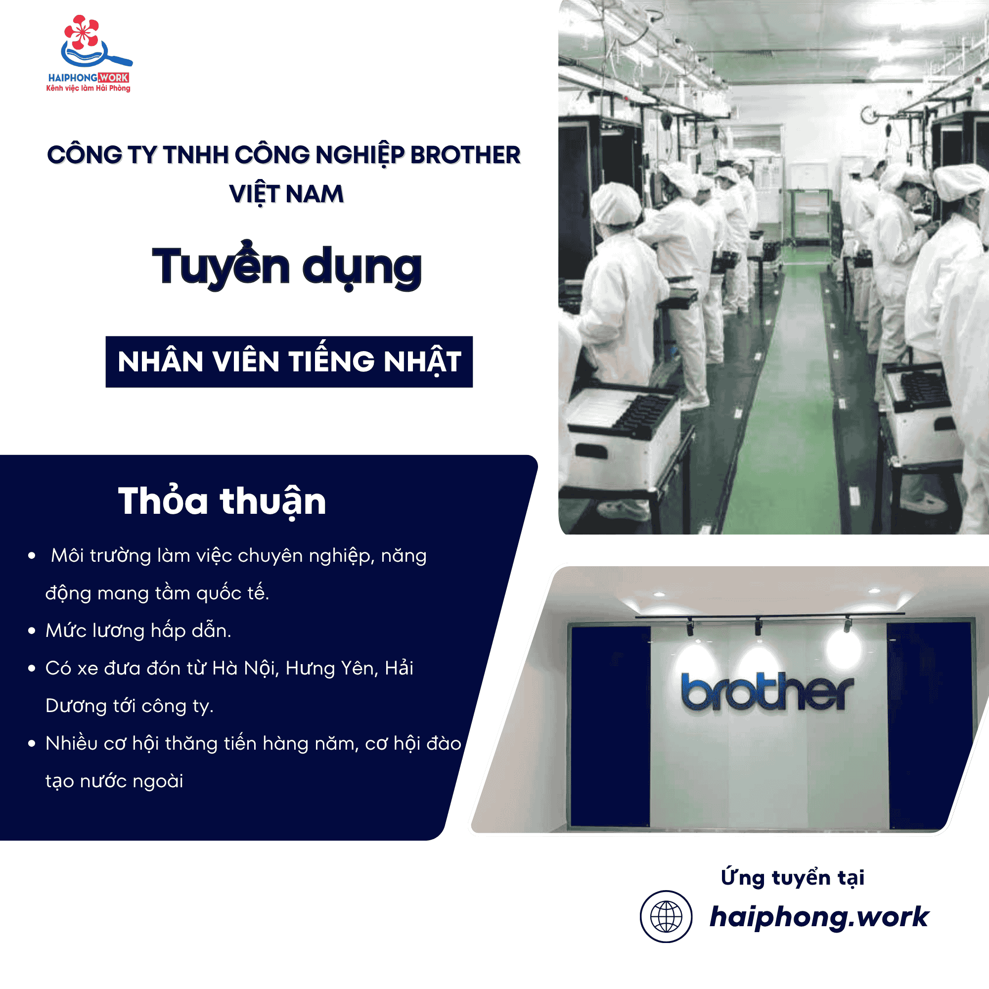 image nhan vien quan ly chat luong 2 260326 073007