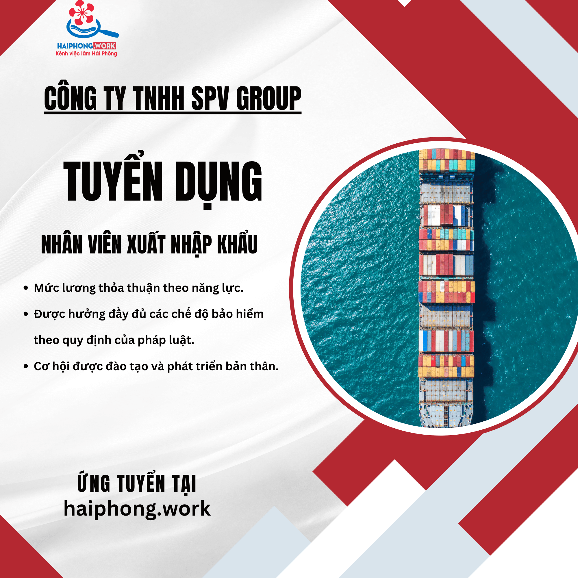 image nhan vien xuat nhap khau hoa chat 2 301025 091546