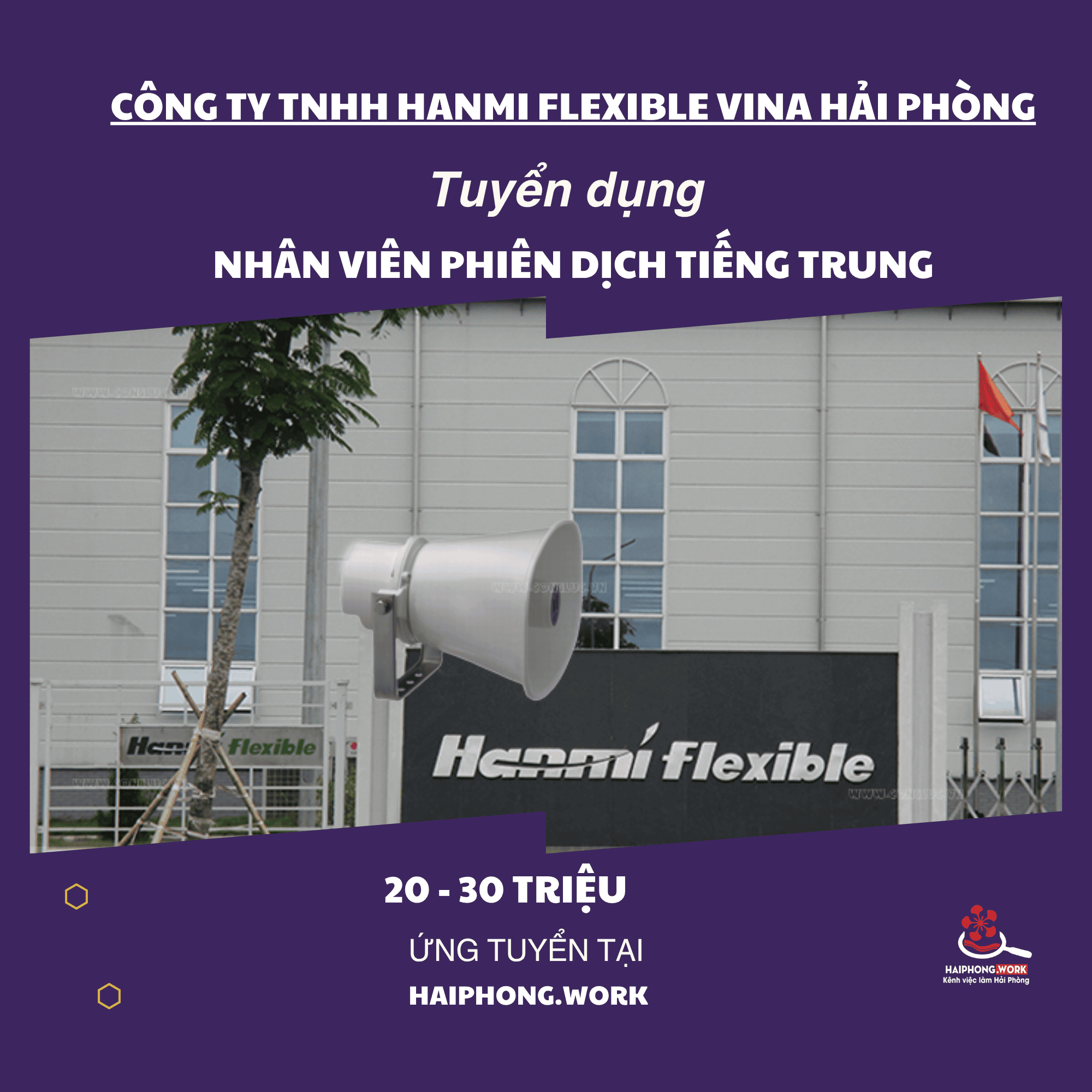 image nhan vien phien dich tieng trung flexible 2 181125 024228