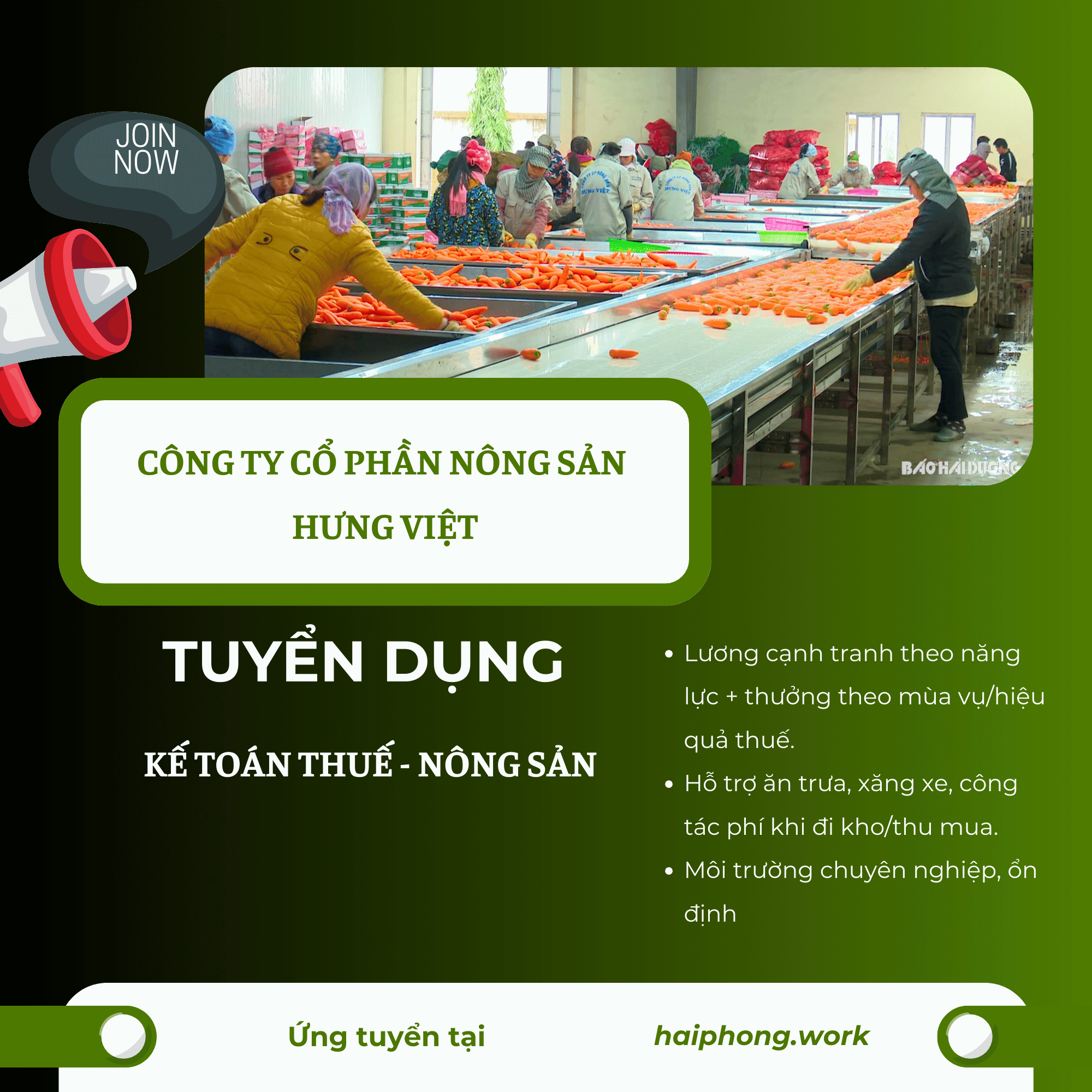 image ke toan thue nong san 3 061225 043747