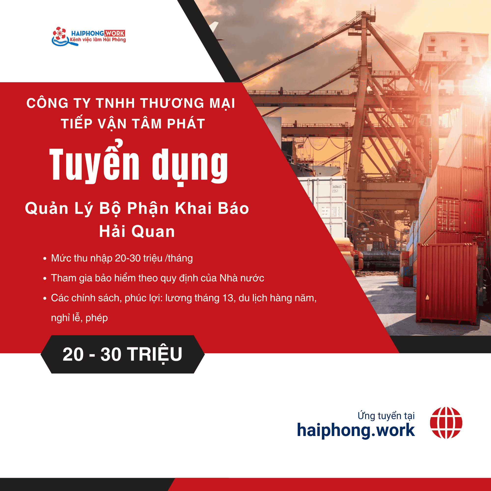 image quan ly bo phan khai bao hai quan 3 311225 032345