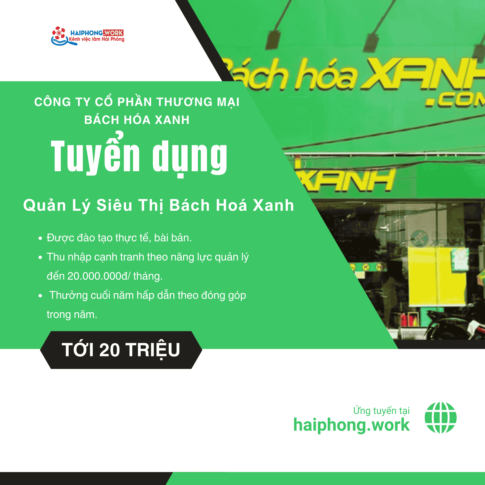 image quan ly sieu thi bach hoa xanh khu vuc mien bac 4 261225 093610