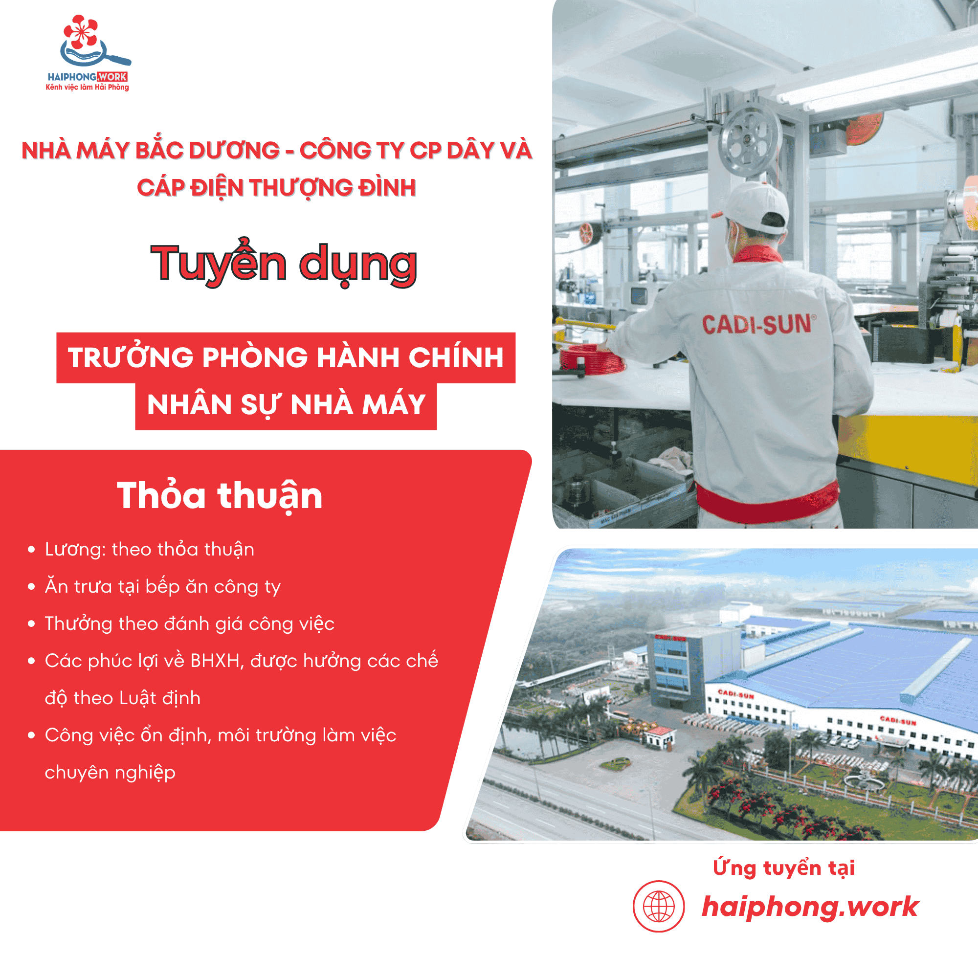 image truong phong hanh chinh nhan su nha may 6 260326 032504